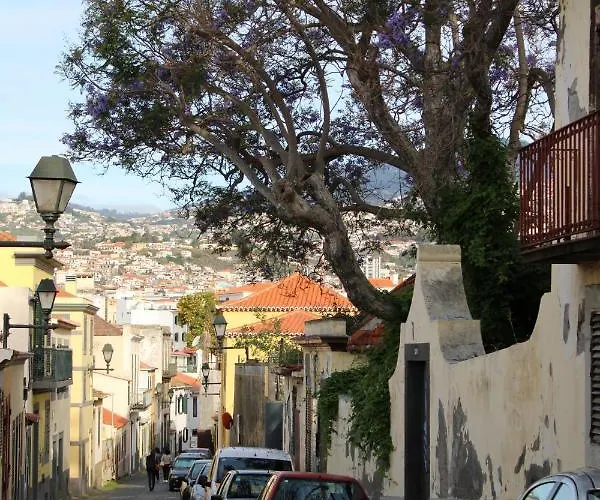 Alexia Bed & Breakfast Funchal (Madeira)