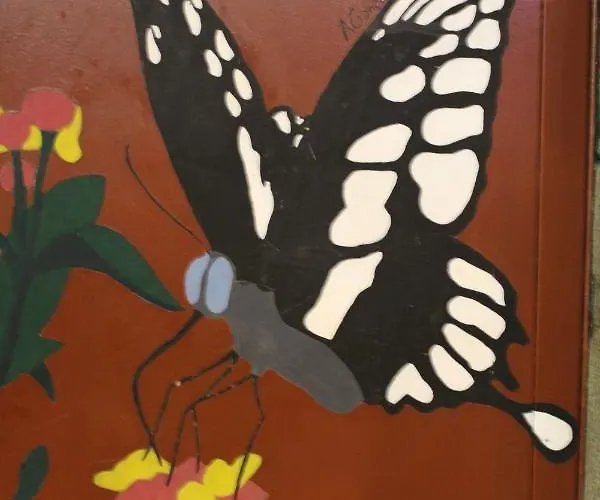 Bed & Breakfast Alexia