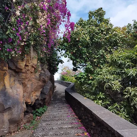 Alexia Bed & Breakfast Funchal (Madeira)