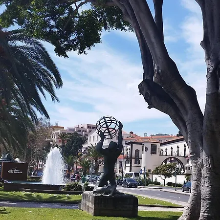 Alexia * Funchal (Madeira)