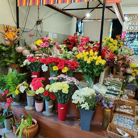 Alexia 住宿加早餐酒店 丰沙尔
