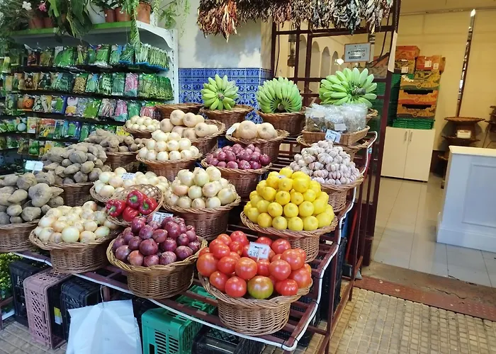 Alexia Отель типа 