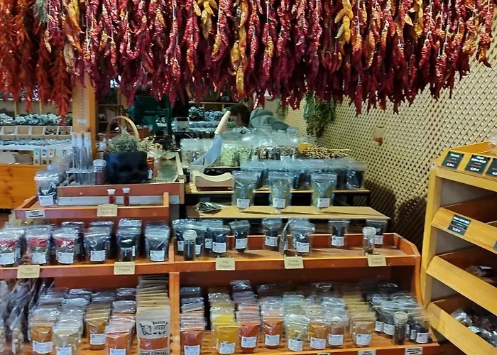 Bed & Breakfast Alexia